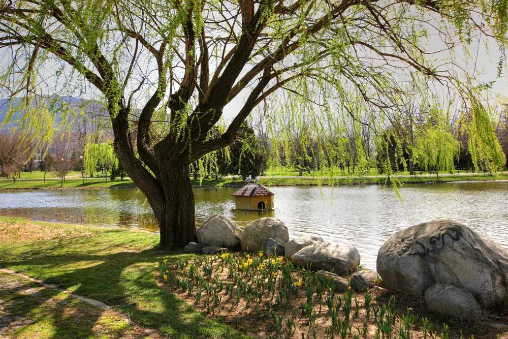 Soğanlı Botanik Parkı - Bursa
